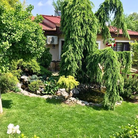 Cristi'S Rooms - Pensiune Oradea Zewnętrze zdjęcie